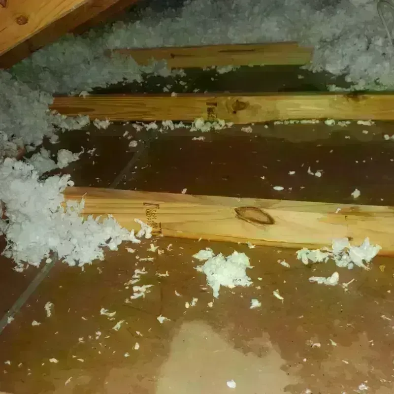 Attic Water Damage in Amityville, NY